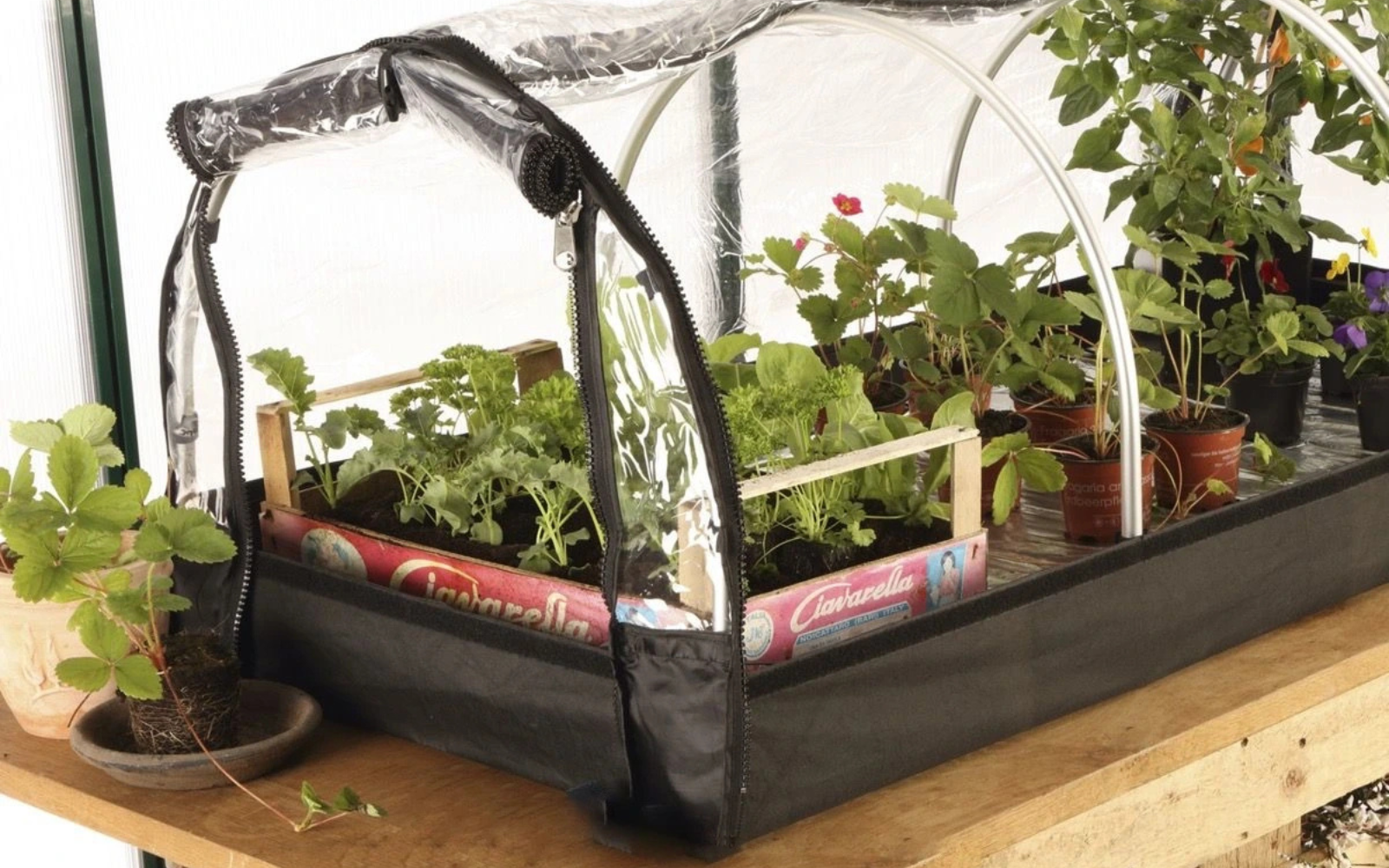 Pěstební stanice Jumbo s topnými podložky a termostatem